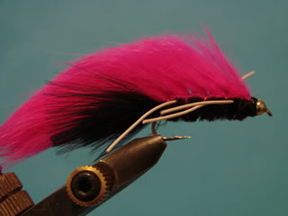 Fuscia Mancini Streamer (6)